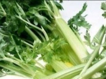 广州番禺蔬菜配送与农副产品食材批发之选 益友饮食公司引领餐饮管理新篇章